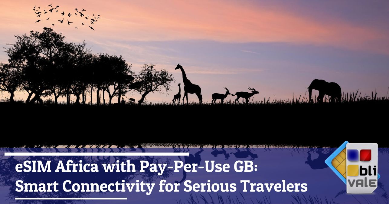 blivale_image_en_eSIM Africa with Pay-Per-Use GB Smart Connectivity for Serious Travelers_643x337 BLIVALE Blog: Guides and tips for worry-free travel - Results from #40